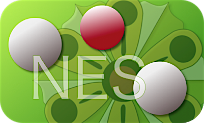 nes logo